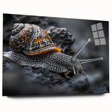 Side view of a colorful acrylic glass wall art piece featuring a whimsical snail design from the "Animals - A Wild Life" collection, ideal for nature-themed decor.