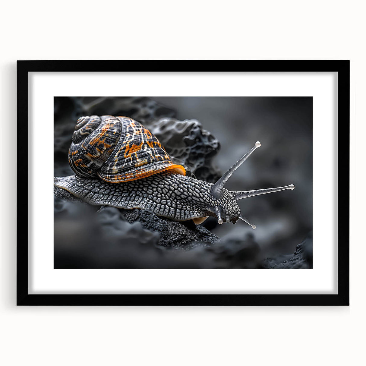 Framed wall art featuring a whimsical snail design in a vibrant color palette, set against a black mat, ideal for children's rooms or nature-themed decor.