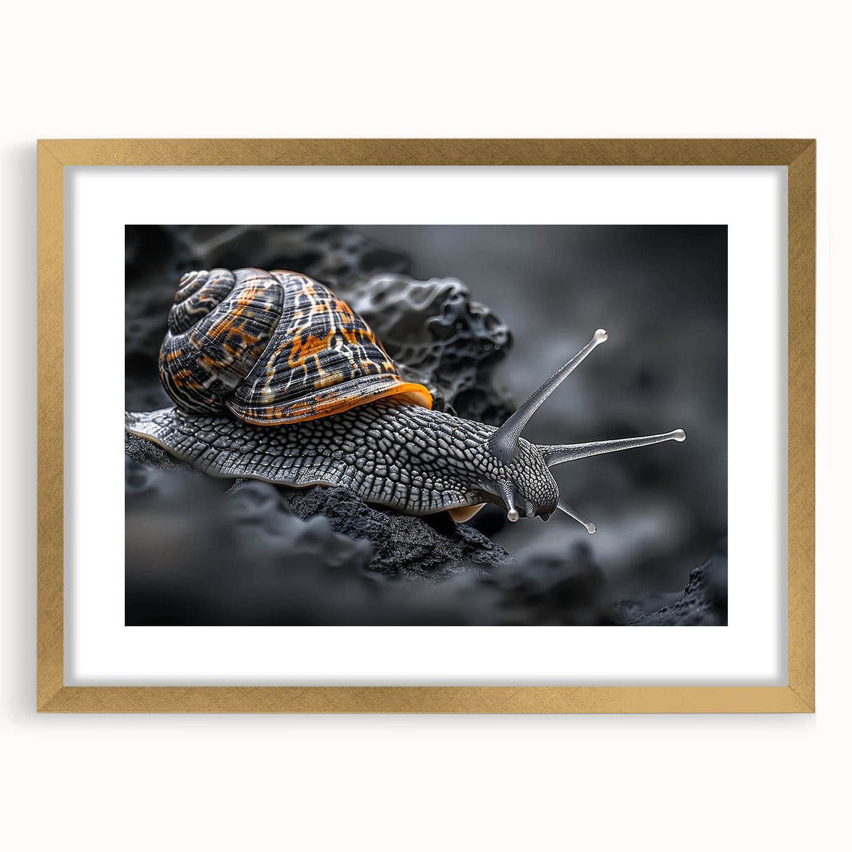 Gold-framed wall art featuring a whimsical snail design, beautifully matted for a polished look. Ideal for nature-themed decor, adding charm to any space.