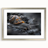 Framed wall art featuring a whimsical snail design with a silver mat, perfect for enhancing home decor in nature-themed spaces. Ideal for animal lovers and art collectors.
