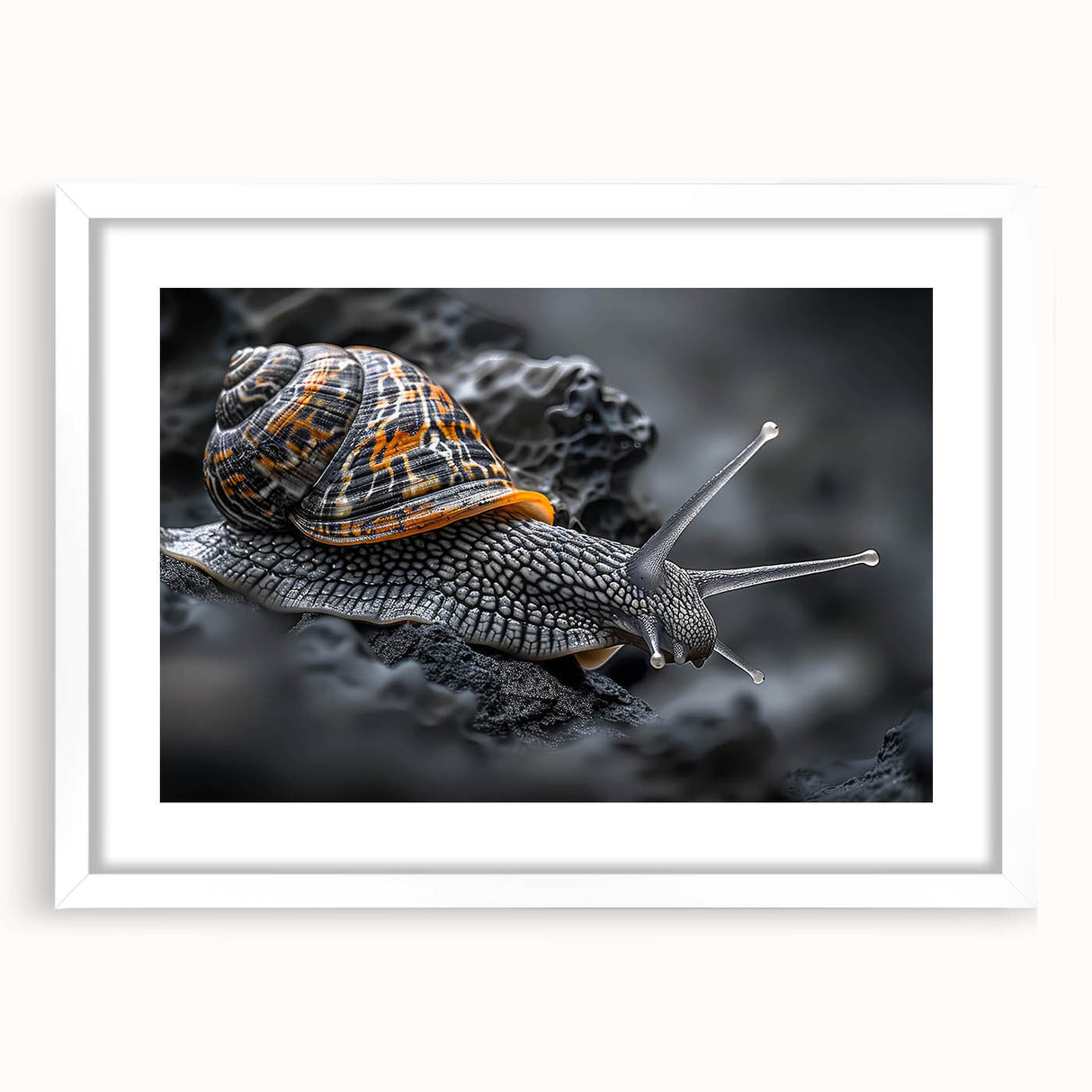 Close-up of a white-framed wall art piece showcasing a colorful snail design, ideal for nature-themed decor. Perfect for adding a whimsical touch to any room.
