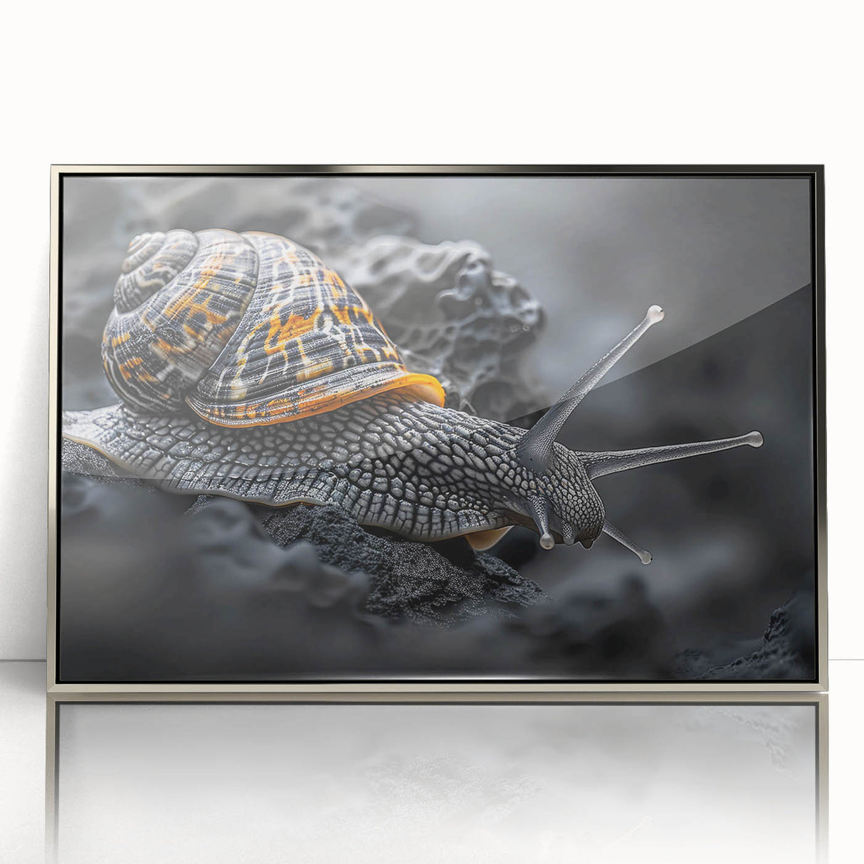 Framed wall art featuring a whimsical snail design in vibrant colors, set against a sleek silver background, perfect for adding a touch of nature-inspired decor to any room.