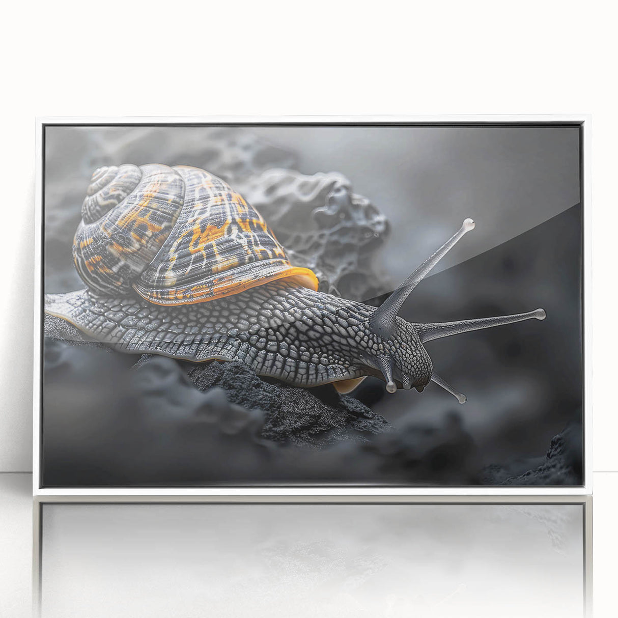 Framed acrylic wall art featuring a whimsical snail design in vibrant colors against a white background, perfect for adding a playful touch to home decor.