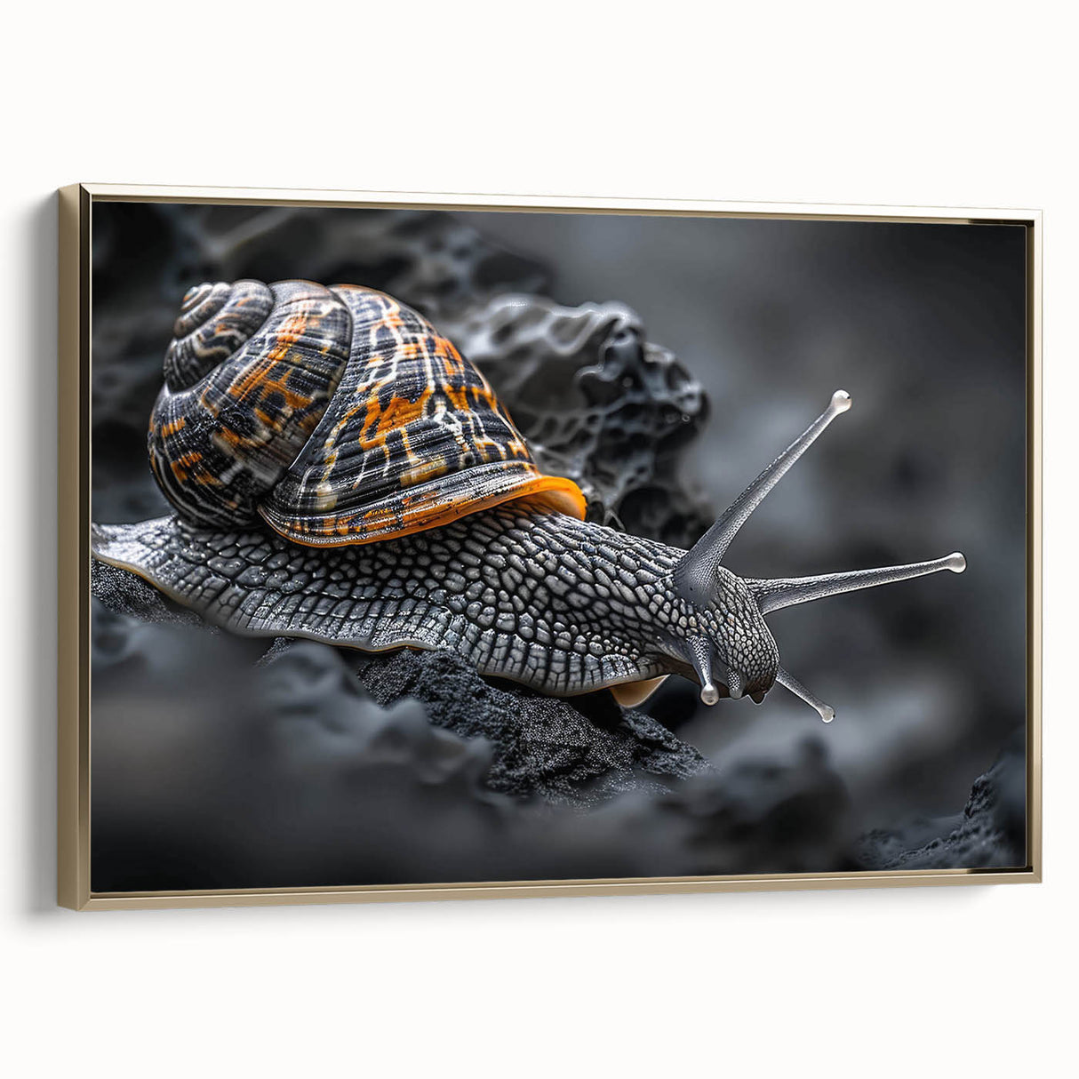 Framed wall art featuring a whimsical snail design in vibrant colors, set against a gold backdrop, ideal for adding a playful touch to home decor.