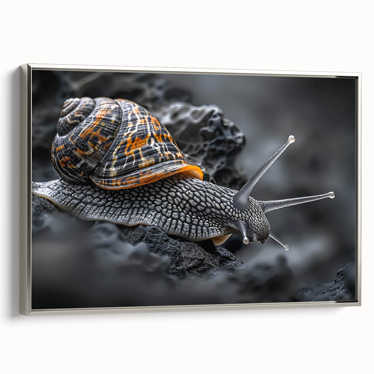 Framed wall art featuring a detailed silver snail design on a textured canvas, showcasing intricate patterns and a modern aesthetic for home decor.