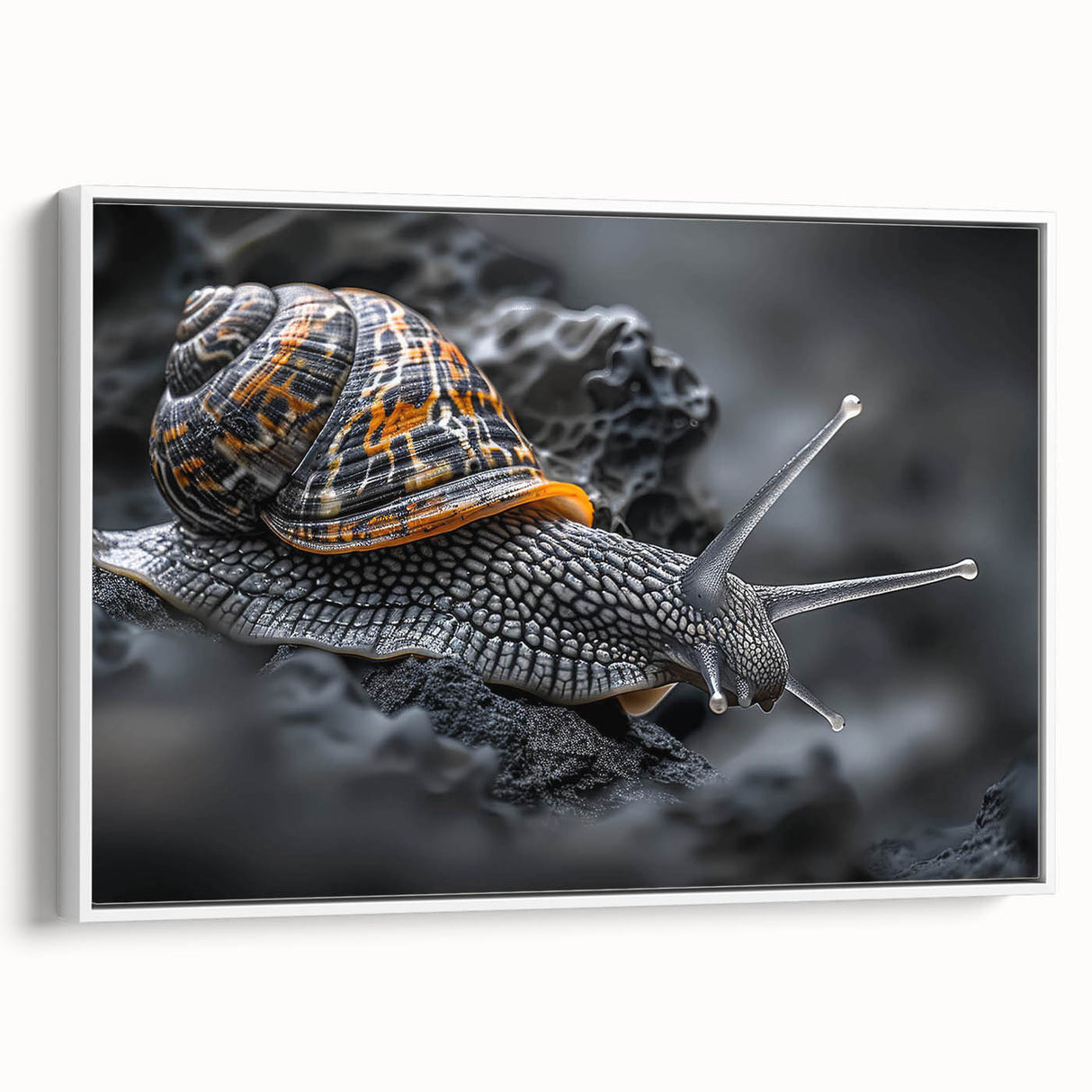 Framed canvas wall art featuring a whimsical snail design in vibrant colors, displayed from a side view against a white background, perfect for animal lovers.