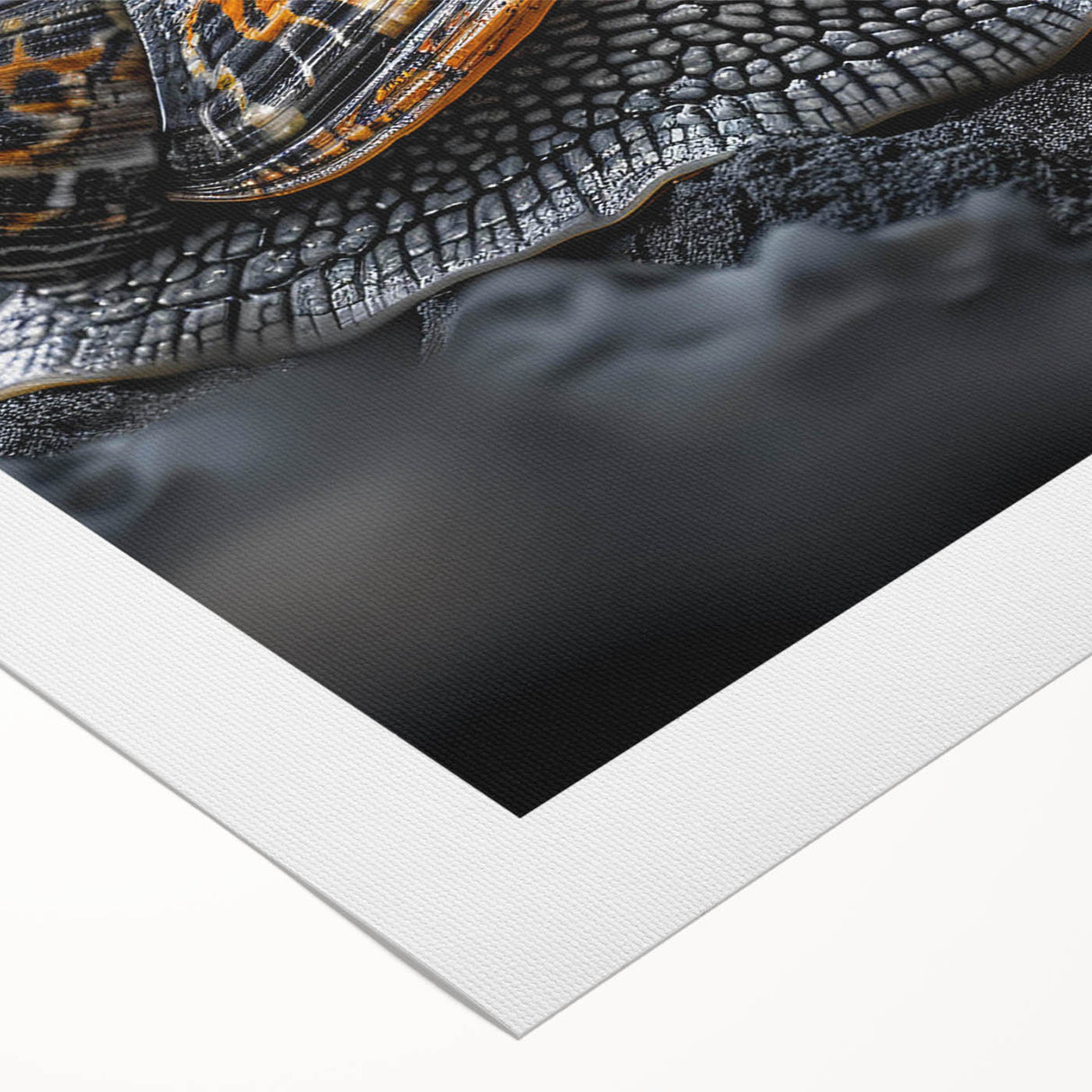 Colorful snail design wall art on rolled canvas, showcasing intricate patterns and vibrant colors, perfect for nature-themed decor in any space.