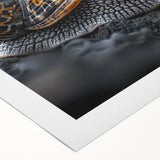 Colorful snail design wall art on rolled canvas, showcasing intricate patterns and vibrant colors, perfect for nature-themed decor in any space.