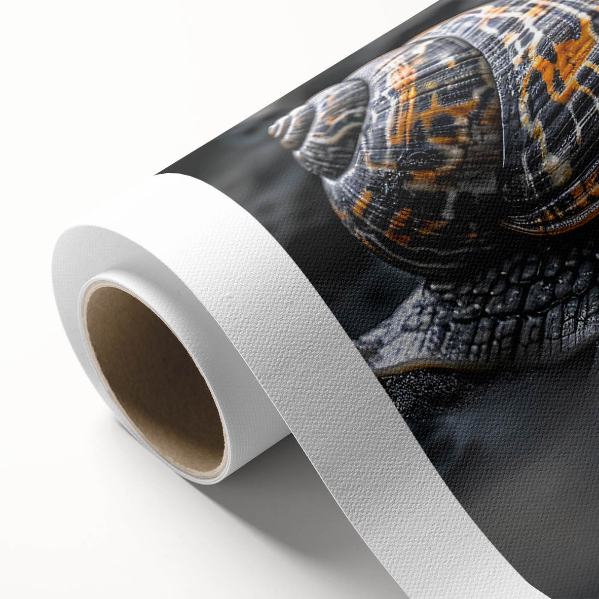Colorful snail design on rolled canvas wall art, showcasing vibrant patterns and intricate details, ideal for nature-themed decor in any room.