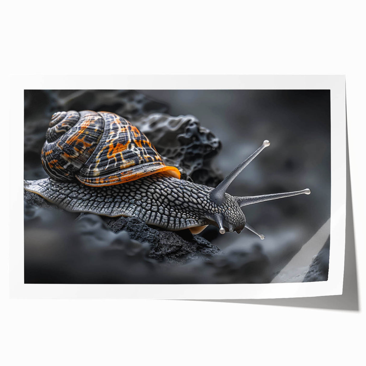 Colorful snail-themed wall art print showcasing intricate designs and vibrant colors, rolled and ready for display, ideal for nature-inspired decor.