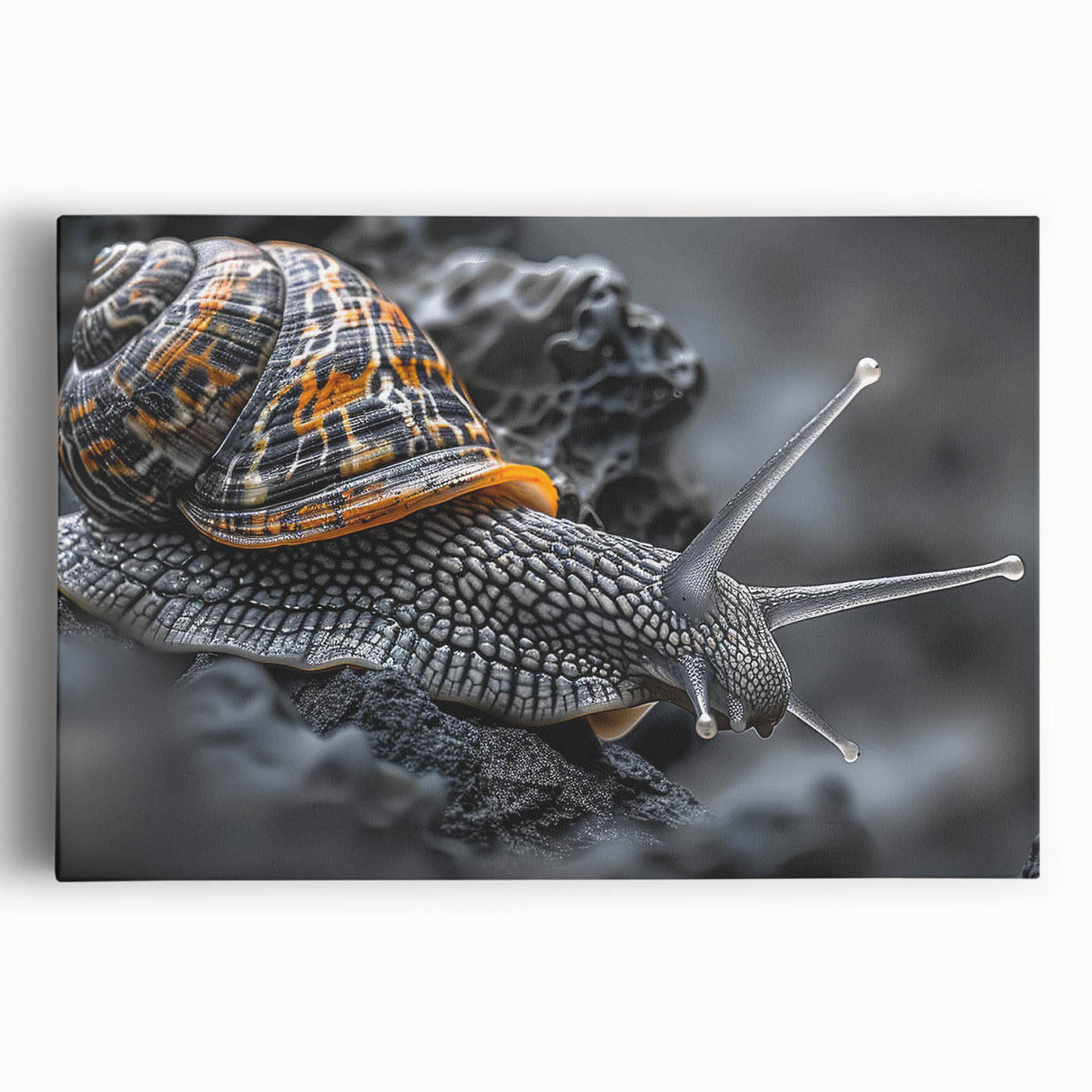 Colorful stretched canvas wall art featuring a whimsical snail design, showcasing vibrant hues and intricate details, perfect for enhancing home decor.