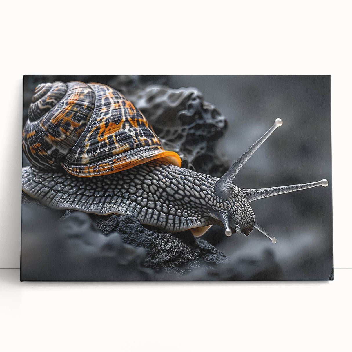 Colorful stretched canvas wall art featuring a whimsical snail design, showcasing detailed textures and vibrant hues, perfect for nature-themed decor.