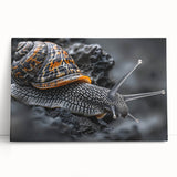Colorful stretched canvas wall art featuring a whimsical snail design, showcasing detailed textures and vibrant hues, perfect for nature-themed decor.