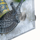 Close-up of a vibrant acrylic glass wall art piece showcasing a beautifully detailed snail design, highlighting intricate colors and textures against a minimalist background, perfect for nature enthusiasts.
