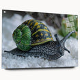 Acrylic glass wall art featuring a colorful snail design, showcasing intricate details and vibrant hues, mounted with pins for a contemporary display. Perfect for nature-themed decor.