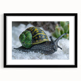 Framed wall art featuring a whimsical snail design in vibrant colors, set against a black background, perfect for adding a playful touch to any decor.