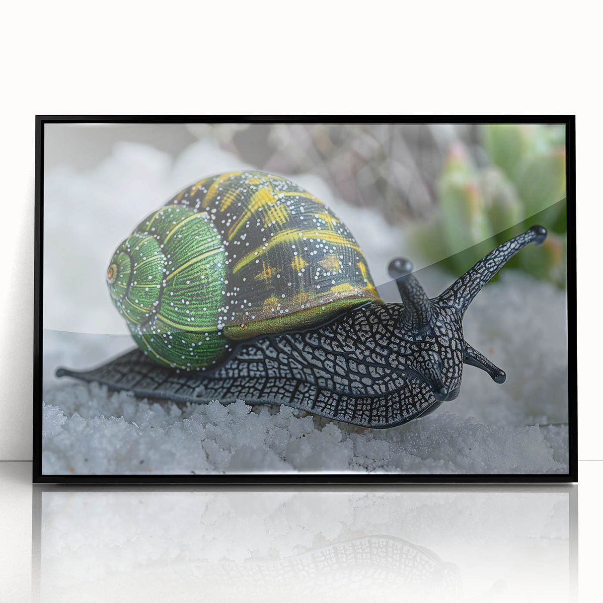 Framed acrylic wall art featuring a detailed design of a snail, showcasing vibrant colors against a sleek black background, ideal for nature-themed decor.