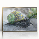 Framed wall art featuring a beautifully detailed snail design in vibrant colors, showcasing a gold acrylic finish that enhances its modern aesthetic. Perfect for nature lovers and contemporary decor.