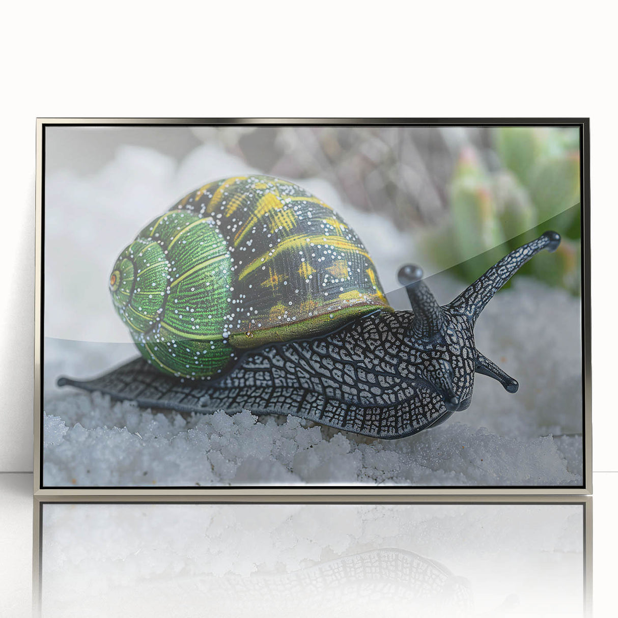 Framed acrylic wall art featuring a beautifully designed snail illustration in silver, showcasing vibrant colors and intricate details, perfect for enhancing home decor.