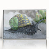 Framed wall art featuring a whimsical snail design, showcasing vibrant colors on acrylic with a sleek white frame, perfect for children's rooms or nature-themed decor.