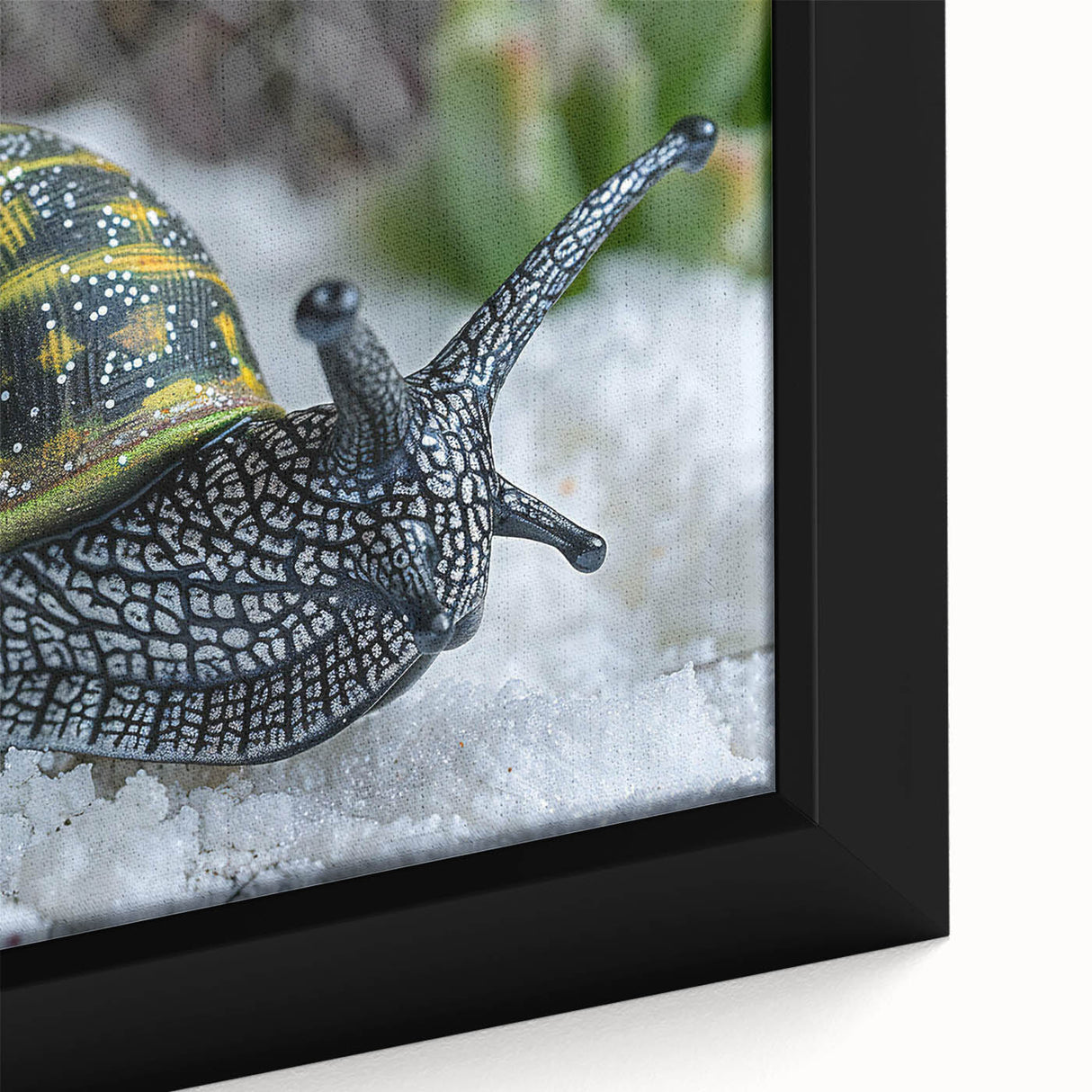 Close-up of a beautifully framed canvas featuring a vibrant snail design, showcasing intricate details and textures in bright colors, perfect for animal-themed decor.