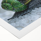Colorful rolled canvas wall art featuring a whimsical snail design, designed for nature enthusiasts, showcasing vibrant hues and intricate details of wildlife. Perfect for home decor or as a gift for animal lovers.