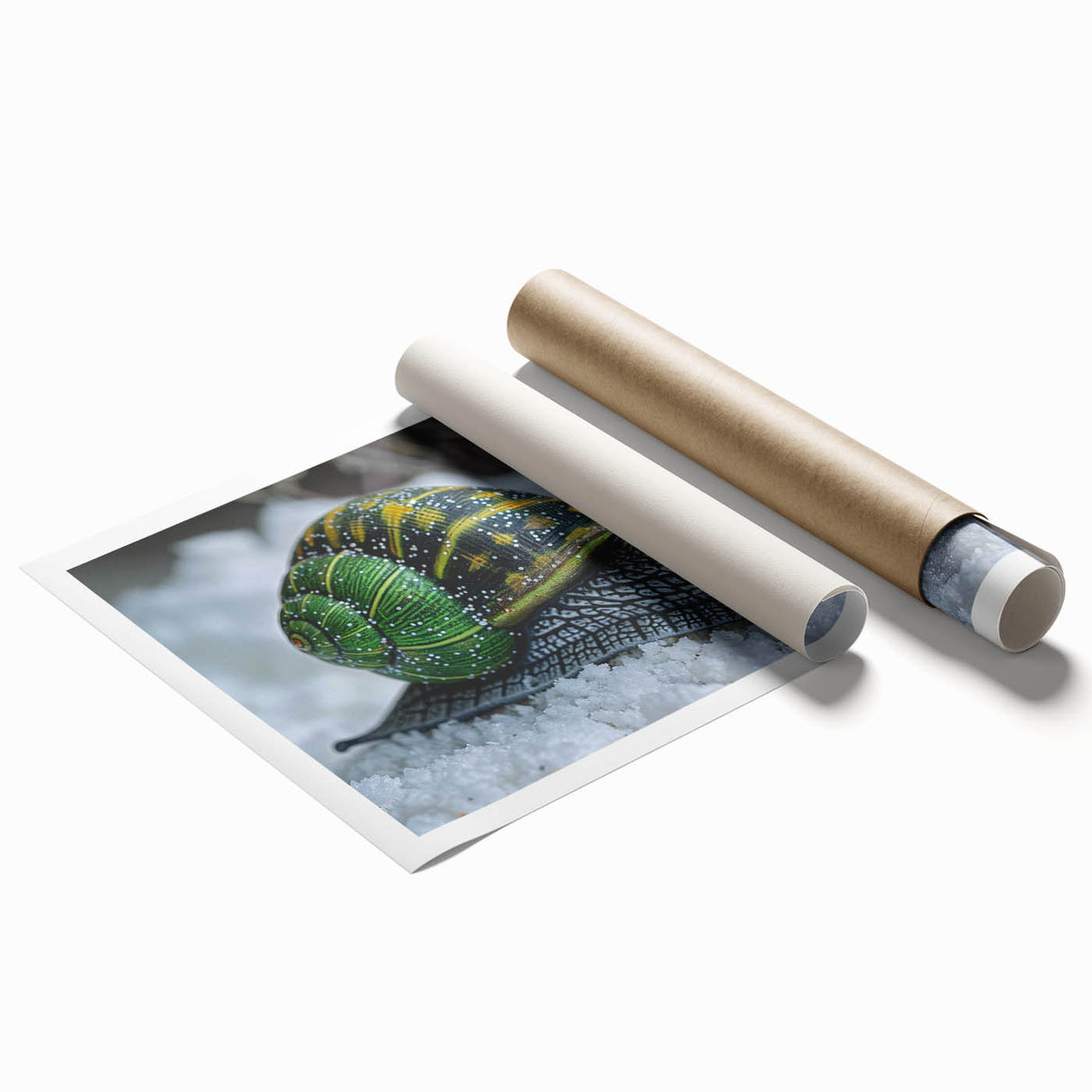 Close-up of a decorative wall art print featuring a whimsical snail design, showcasing vibrant colors and intricate details, ideal for nature-themed decor. The rolled print is displayed against a neutral background, emphasizing the unique artwork.