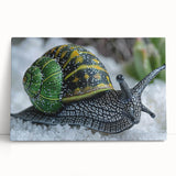 Colorful stretched canvas artwork showcasing a whimsical snail design, perfect for nature lovers, featuring vibrant hues and playful details, ideal for home decor.