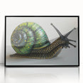 Framed wall art featuring a vibrant snail design in a contemporary black frame, showcasing intricate patterns and colors, perfect for nature lovers' decor.