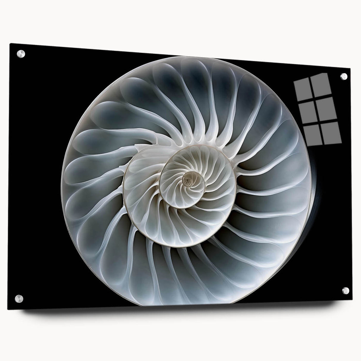 Colorful acrylic wall art featuring a whimsical snail design, showcasing intricate details and vibrant hues, perfect for adding a playful touch to any room.