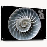 Colorful acrylic wall art featuring a whimsical snail design, showcasing intricate details and vibrant hues, perfect for adding a playful touch to any room.