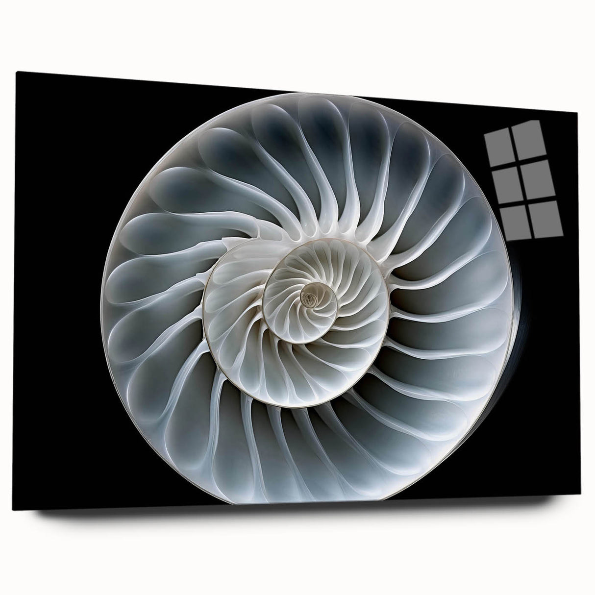 Acrylic glass wall art featuring a whimsical snail design from the "Animals A Wild Life" collection, showcasing vibrant colors and intricate details in a side view presentation. Perfect for adding a playful touch to home decor.