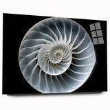Acrylic glass wall art featuring a whimsical snail design from the "Animals A Wild Life" collection, showcasing vibrant colors and intricate details in a side view presentation. Perfect for adding a playful touch to home decor.