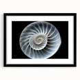 Black-framed wall art featuring a detailed snail design rendered in vibrant colors, ideal for nature-themed decor and wildlife enthusiasts, showcasing intricate patterns and textures.