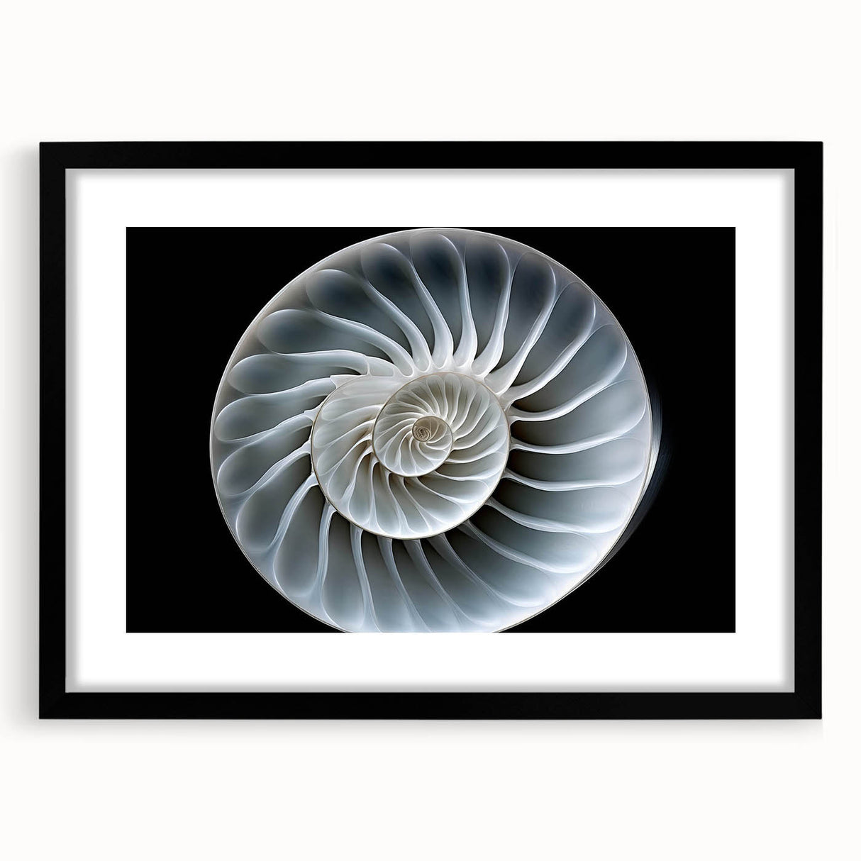 Black-framed wall art featuring a detailed snail design rendered in vibrant colors, ideal for nature-themed decor and wildlife enthusiasts, showcasing intricate patterns and textures.