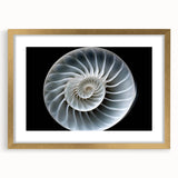 Gold-framed wall art featuring a vibrant snail design from the "Animals a Wild Life" collection, showcasing intricate details and a contemporary aesthetic, perfect for enhancing any room's decor.