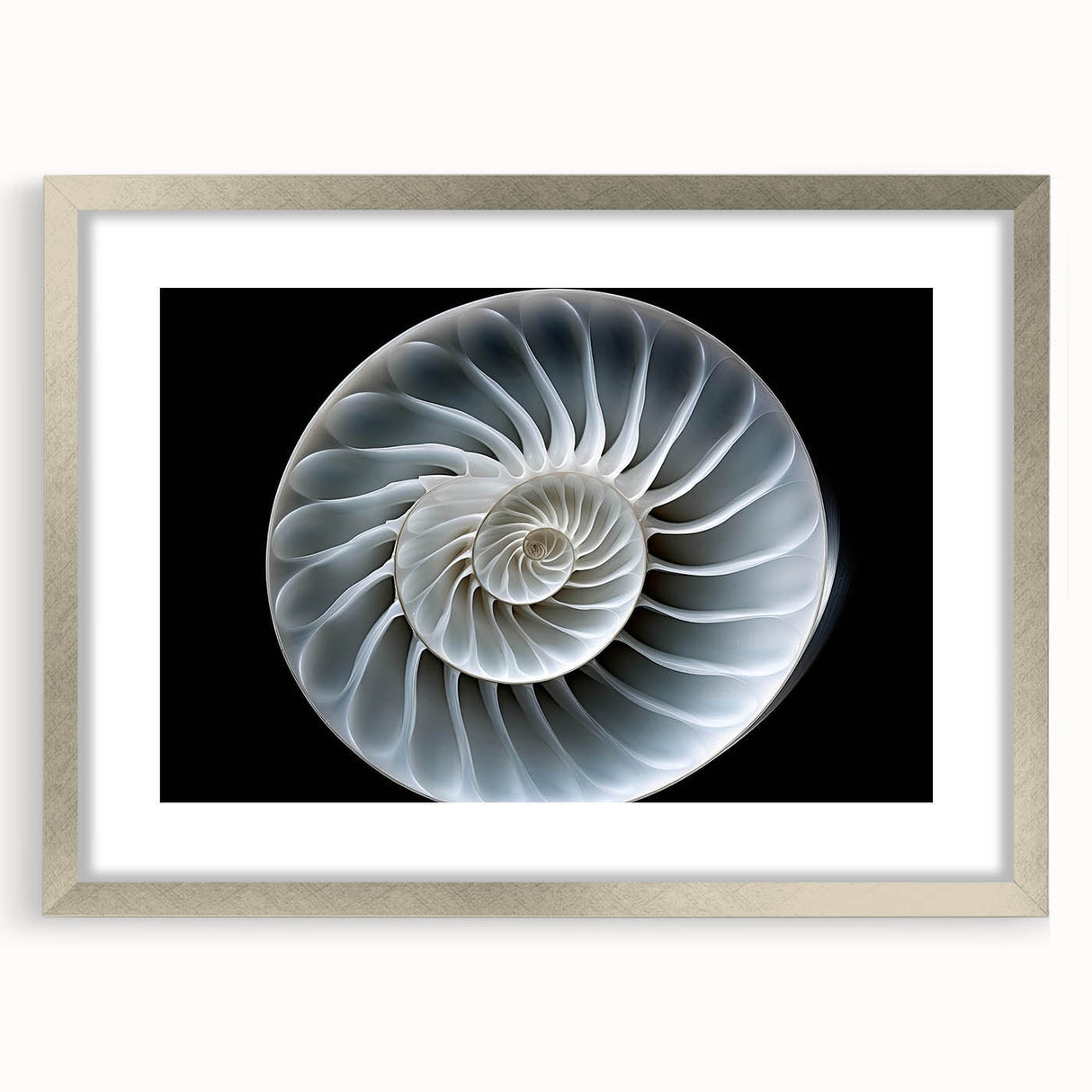 Framed wall art featuring a whimsical snail design, showcasing intricate details and vibrant colors, set in a stylish silver frame with a mat for added elegance. Perfect for animal lovers and unique home decor enthusiasts.