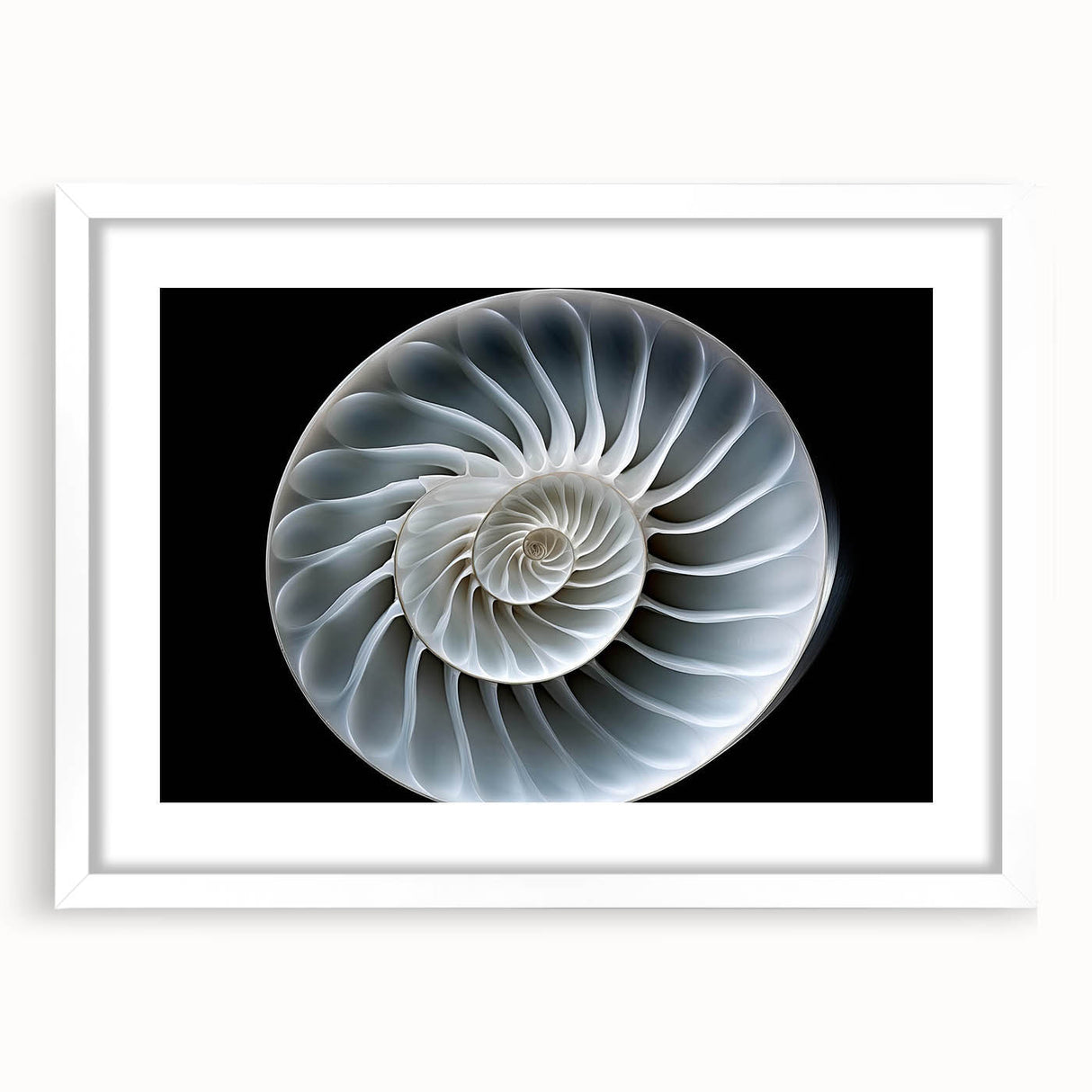 Framed wall art featuring a whimsical snail design from the "Animals A Wild Life" collection, displayed in a sleek white frame with a mat. Perfect for nature-themed decor.