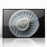 Framed wall art showcasing a vibrant snail design in a black frame, featuring intricate details and colors, ideal for nature lovers and modern decor enthusiasts.