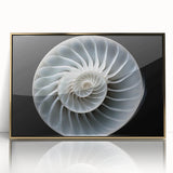 Framed acrylic wall art featuring a whimsical snail design with gold accents, set against a minimalist background. Perfect for nature-inspired decor.