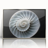 Framed wall art featuring a whimsical snail design, with vibrant colors and intricate details, set in a sleek silver frame, perfect for nature-themed decor.