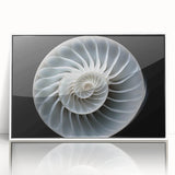 Framed acrylic wall art featuring a whimsical snail design, showcasing vibrant colors against a white background, perfect for animal lovers and home decor enthusiasts.