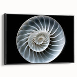Framed wall art featuring a detailed snail design with a black frame, showcasing vibrant colors and intricate patterns, perfect for nature-inspired decor.