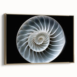 Framed wall art featuring a stylish gold-accented snail design on a textured canvas, perfect for adding a touch of nature-inspired elegance to home decor.