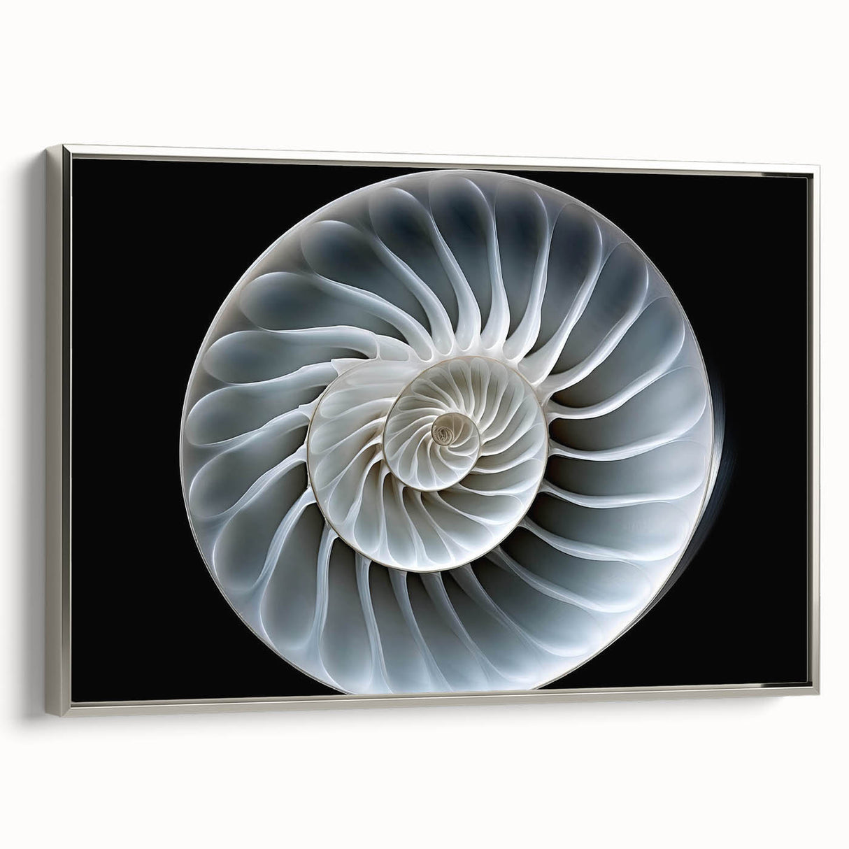 Framed canvas wall art featuring a detailed snail design with intricate patterns and vibrant colors, set against a sleek silver frame, ideal for nature-themed decor.