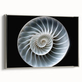 Framed canvas wall art featuring a detailed snail design with intricate patterns and vibrant colors, set against a sleek silver frame, ideal for nature-themed decor.