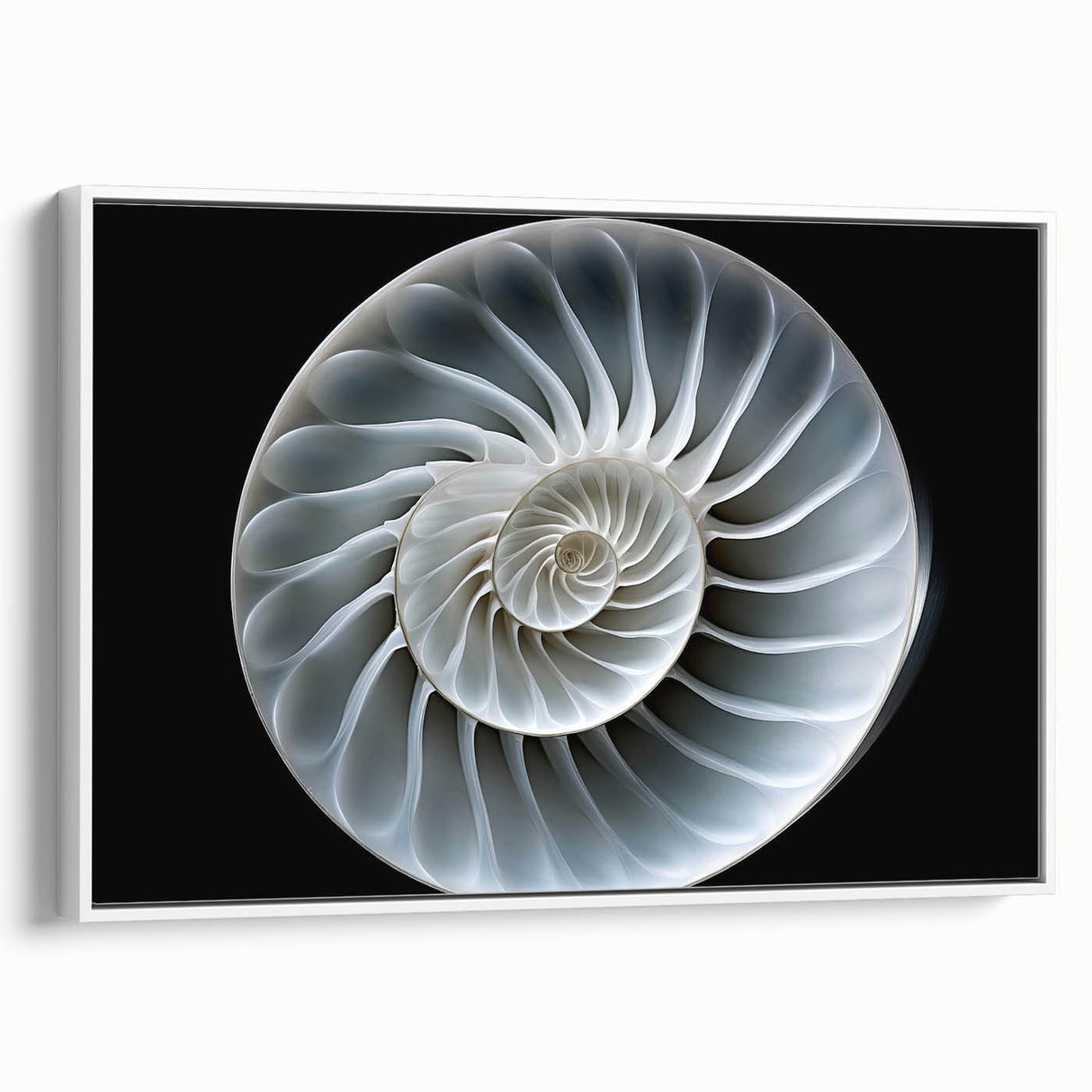 Framed canvas artwork showcasing a whimsical snail design, featuring vibrant colors and intricate details, ideal for nature-themed decor in homes or offices.