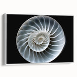 Framed canvas artwork showcasing a whimsical snail design, featuring vibrant colors and intricate details, ideal for nature-themed decor in homes or offices.