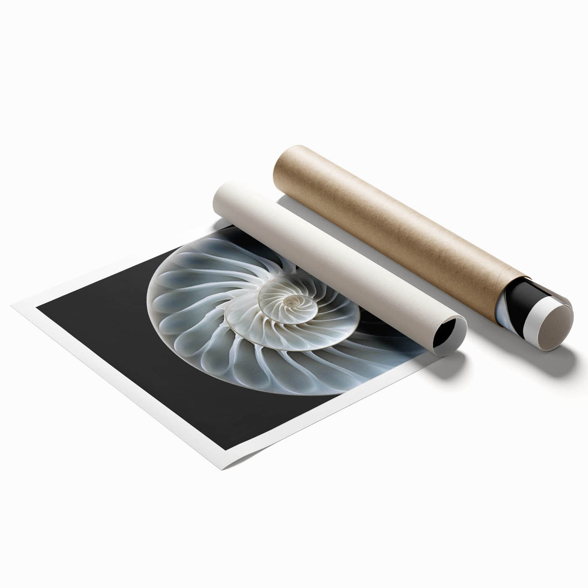Colorful snail wall art print showcasing intricate design details on a textured surface, rolled and ready for framing, ideal for nature-themed decor.
