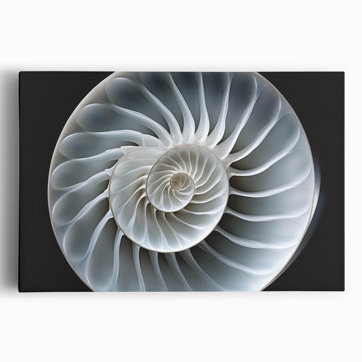 Colorful stretched canvas artwork showcasing a whimsical snail design, perfect for nature-themed decor. The vibrant illustration adds a playful touch to any wall.